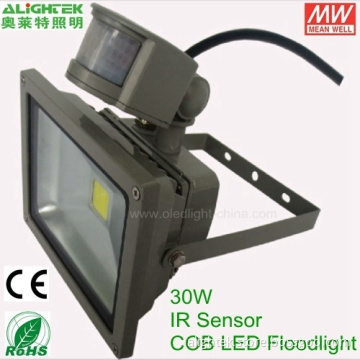 30w Ir Sensor Led Floodlight With Meanwell Power Supply 